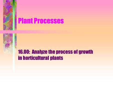 Plant Processes 16.00: Analyze the process of growth in horticultural plants.