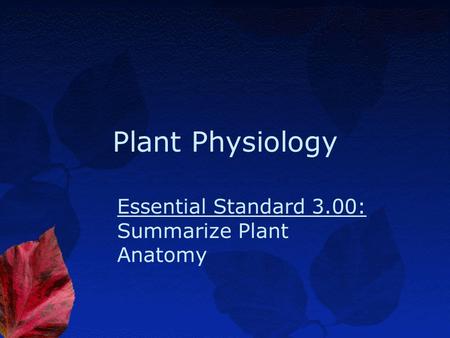Essential Standard 3.00: Summarize Plant Anatomy