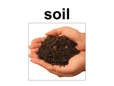 Soil. organic the top layer of the earths surface, consisting of rock and mineral particles mixed with organic matter.