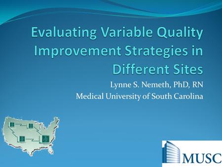 Lynne S. Nemeth, PhD, RN Medical University of South Carolina.
