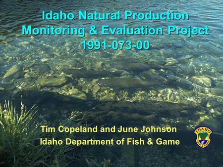 Tim Copeland and June Johnson Idaho Department of Fish & Game Idaho Natural Production Monitoring & Evaluation Project 1991-073-00.