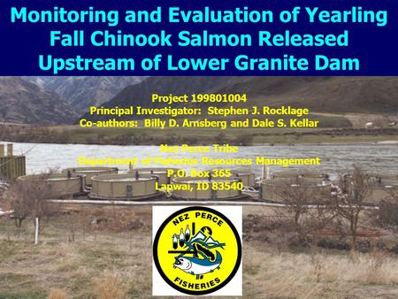 Project 199801004 Principal Investigator: Stephen J. Rocklage Co-authors: Billy D. Arnsberg and Dale S. Kellar Nez Perce Tribe Department of Fisheries.