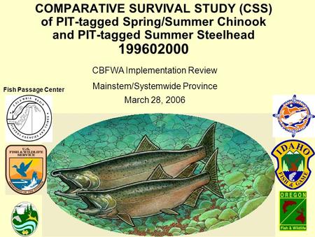 COMPARATIVE SURVIVAL STUDY (CSS) of PIT-tagged Spring/Summer Chinook and PIT-tagged Summer Steelhead 199602000 CBFWA Implementation Review Mainstem/Systemwide.