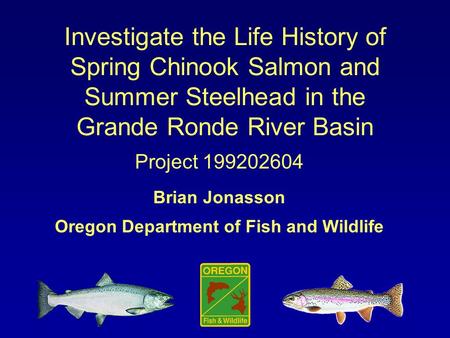 Investigate the Life History of Spring Chinook Salmon and Summer Steelhead in the Grande Ronde River Basin Project 199202604 Brian Jonasson Oregon Department.