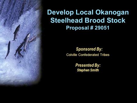Develop Local Okanogan Steelhead Brood Stock Proposal # 29051 Sponsored By: Colville Confederated Tribes Presented By: Stephen Smith.