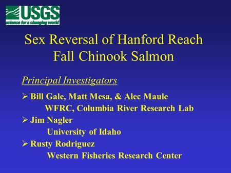 Sex Reversal of Hanford Reach Fall Chinook Salmon Bill Gale, Matt Mesa, & Alec Maule WFRC, Columbia River Research Lab Jim Nagler University of Idaho Rusty.