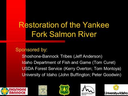 Restoration of the Yankee Fork Salmon River