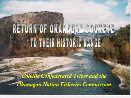 Colville Confederated Tribes and the Okanagan Nation Fisheries Commission.