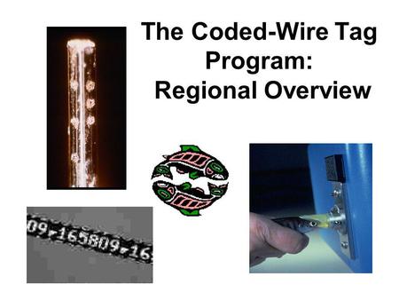 The Coded-Wire Tag Program: Regional Overview