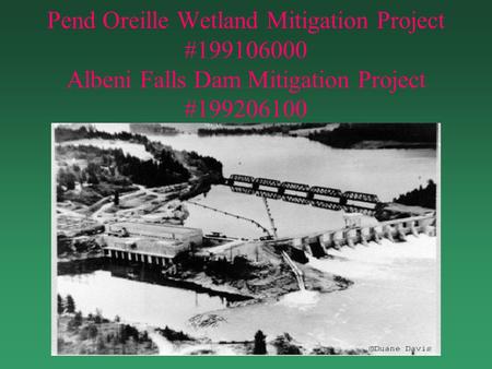 Pend Oreille Wetland Mitigation Project #199106000 Albeni Falls Dam Mitigation Project #199206100.