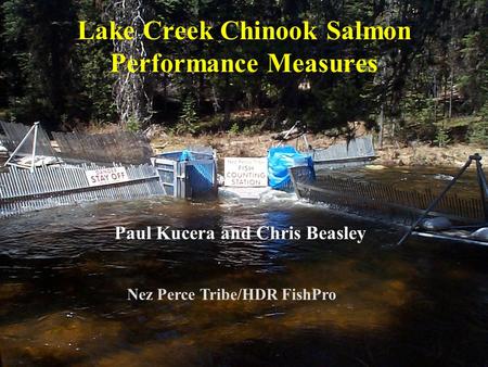 Lake Creek Chinook Salmon Performance Measures Paul Kucera and Chris Beasley Nez Perce Tribe/HDR FishPro.