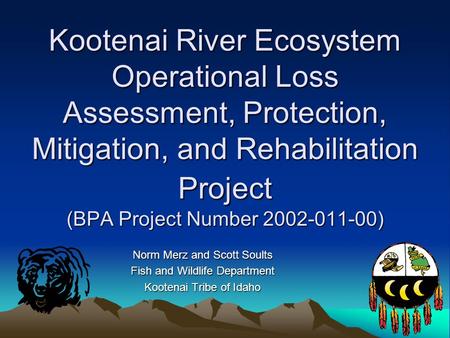 Kootenai River Ecosystem Operational Loss Assessment, Protection, Mitigation, and Rehabilitation Project (BPA Project Number 2002-011-00) Norm Merz and.