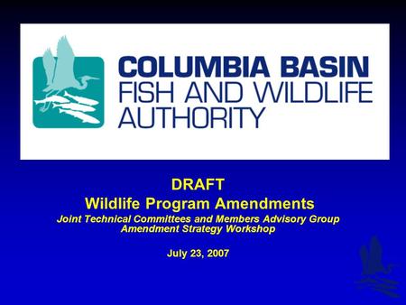 DRAFT Wildlife Program Amendments Joint Technical Committees and Members Advisory Group Amendment Strategy Workshop July 23, 2007.