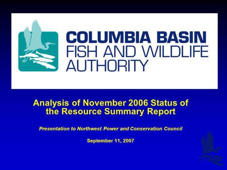 Analysis of November 2006 Status of the Resource Summary Report Presentation to Northwest Power and Conservation Council September 11, 2007.