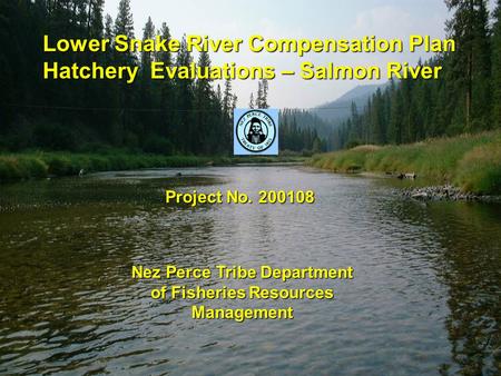 Lower Snake River Compensation Plan Hatchery Evaluations – Salmon River Project No. 200108 Nez Perce Tribe Department of Fisheries Resources Management.