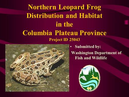 Northern Leopard Frog Distribution and Habitat in the Columbia Plateau Province Project ID 25043 Submitted by: Washington Department of Fish and Wildlife.