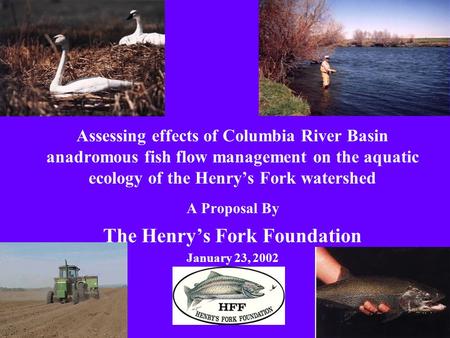 Assessing effects of Columbia River Basin anadromous fish flow management on the aquatic ecology of the Henrys Fork watershed A Proposal By The Henrys.