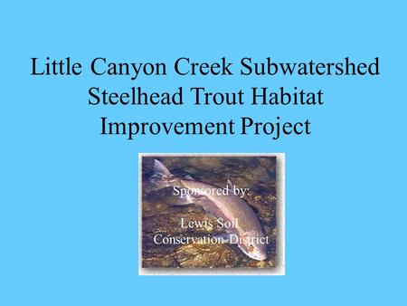 Little Canyon Creek Subwatershed Steelhead Trout Habitat Improvement Project Sponsored by: Lewis Soil Conservation District.