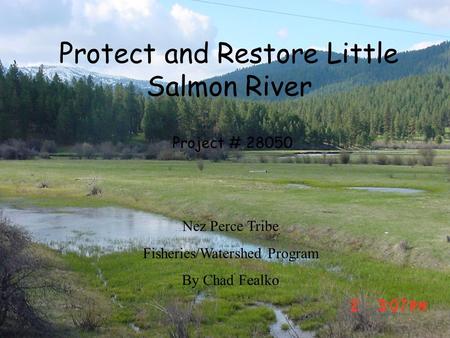 Protect and Restore Little Salmon River Project # 28050 Nez Perce Tribe Fisheries/Watershed Program By Chad Fealko.