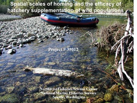 Spatial scales of homing and the efficacy of hatchery supplementation of wild populations Northwest Fisheries Science Center National Marine Fisheries.