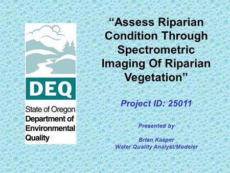 Assess Riparian Condition Through Spectrometric Imaging Of Riparian Vegetation Project ID: 25011 Presented by Brian Kasper Water Quality Analyst/Modeler.