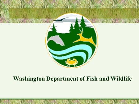 Washington Department of Fish and Wildlife. Project 199106100 SWANSON LAKES WILDLIFE AREA (SLWA)