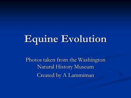 Equine Evolution Photos taken from the Washington Natural History Museum Created by A Lammiman.