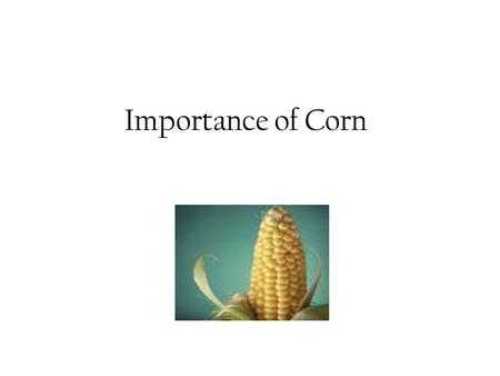 Importance of Corn.