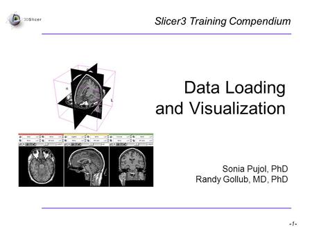 Pujol S, Gollub R -1- National Alliance for Medical Image Computing Data Loading and Visualization Sonia Pujol, PhD Randy Gollub, MD, PhD Slicer3 Training.