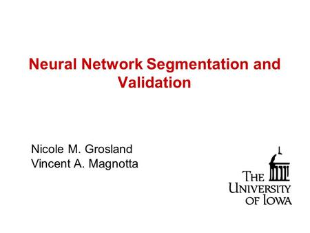 Neural Network Segmentation and Validation Nicole M. Grosland Vincent A. Magnotta.