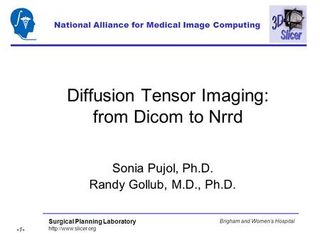 Surgical Planning Laboratory  -1- Brigham and Womens Hospital Diffusion Tensor Imaging: from Dicom to Nrrd Sonia Pujol, Ph.D. Randy.