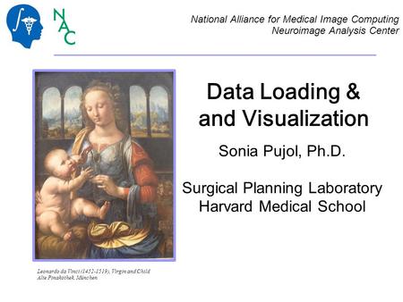 Data Loading & and Visualization Sonia Pujol, Ph.D. Surgical Planning Laboratory Harvard Medical School National Alliance for Medical Image Computing Neuroimage.