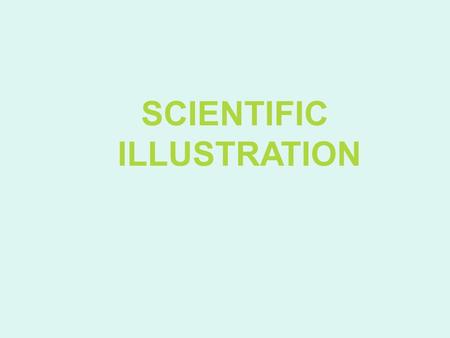 SCIENTIFIC ILLUSTRATION. What is Scientific Illustration? Scientific Illustration is the illustration or the drawing of amphibians, birds, plants, fish,