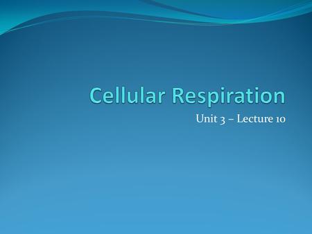 Cellular Respiration Unit 3 – Lecture 10.
