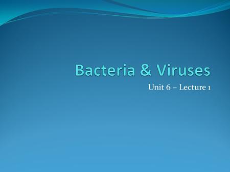 Bacteria & Viruses Unit 6 – Lecture 1.