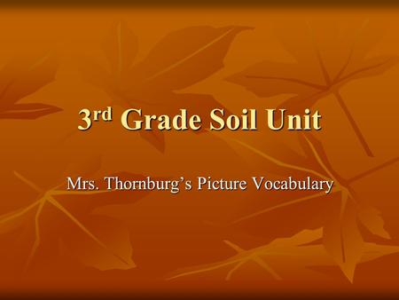 Mrs. Thornburg’s Picture Vocabulary