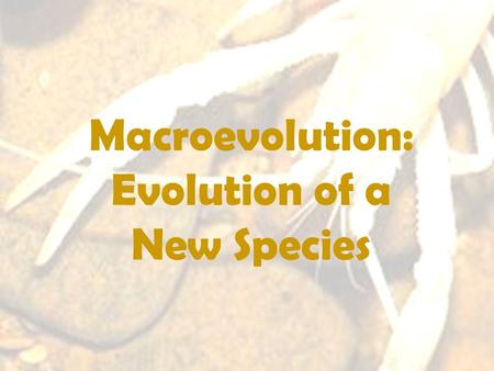 Macroevolution: Evolution of a New Species