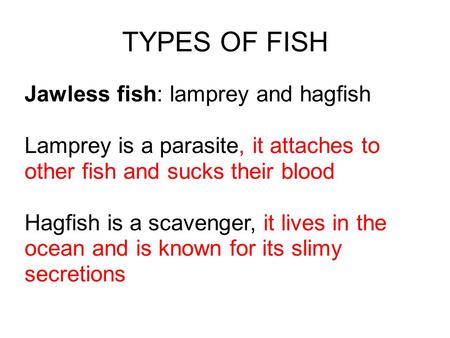 TYPES OF FISH Jawless fish: lamprey and hagfish