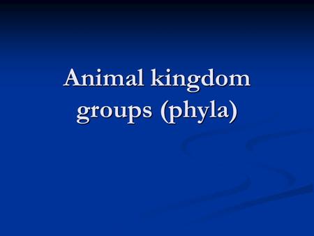 Animal kingdom groups (phyla)