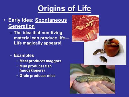 Origins of Life Early Idea: Spontaneous Generation