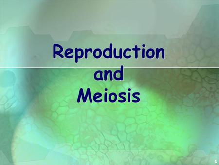 Reproduction and Meiosis