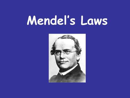 Mendel’s Laws.