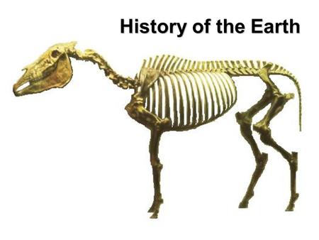 History of the Earth.