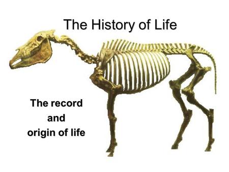 The record and origin of life