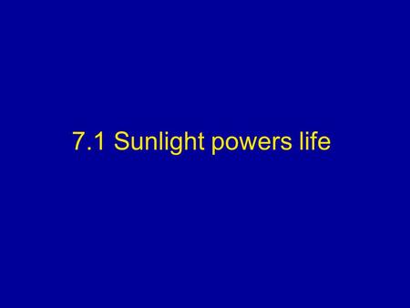 7.1 Sunlight powers life.