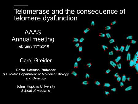 Telomerase and the consequence of telomere dysfunction