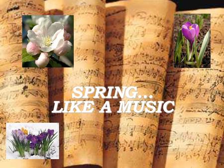 SPRING… LIKE A MUSIC. FRYDERYK CHOPIN Most famous polish composer Chopin was born in the village of Żelazowa Wola, in the Duchy of Warsaw, to a French-