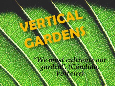 we must cultivate our garden
