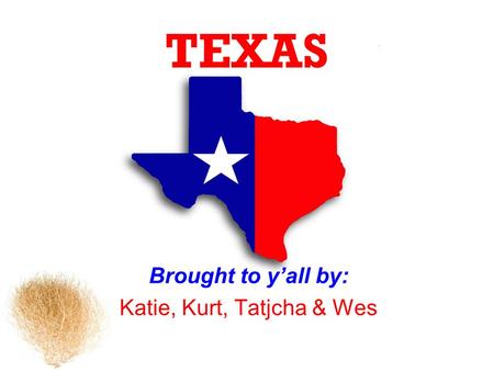 TEXAS Brought to yall by: Katie, Kurt, Tatjcha & Wes.