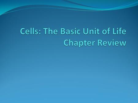 Cells: The Basic Unit of Life Chapter Review